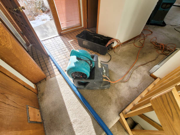 Plumbing Leak and Burst Pipe Cleanup